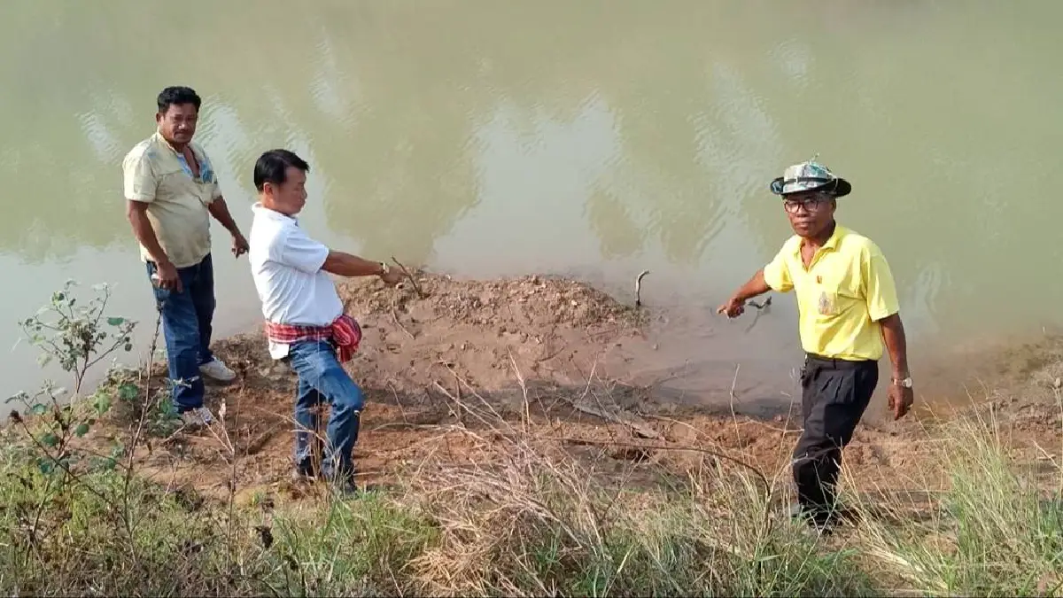 ผงะ! พบจระเข้น้ำจืดขนาดใหญ่นอนอาบแดดริมคลองเร่งตามไกรทองมาไล่ล่า