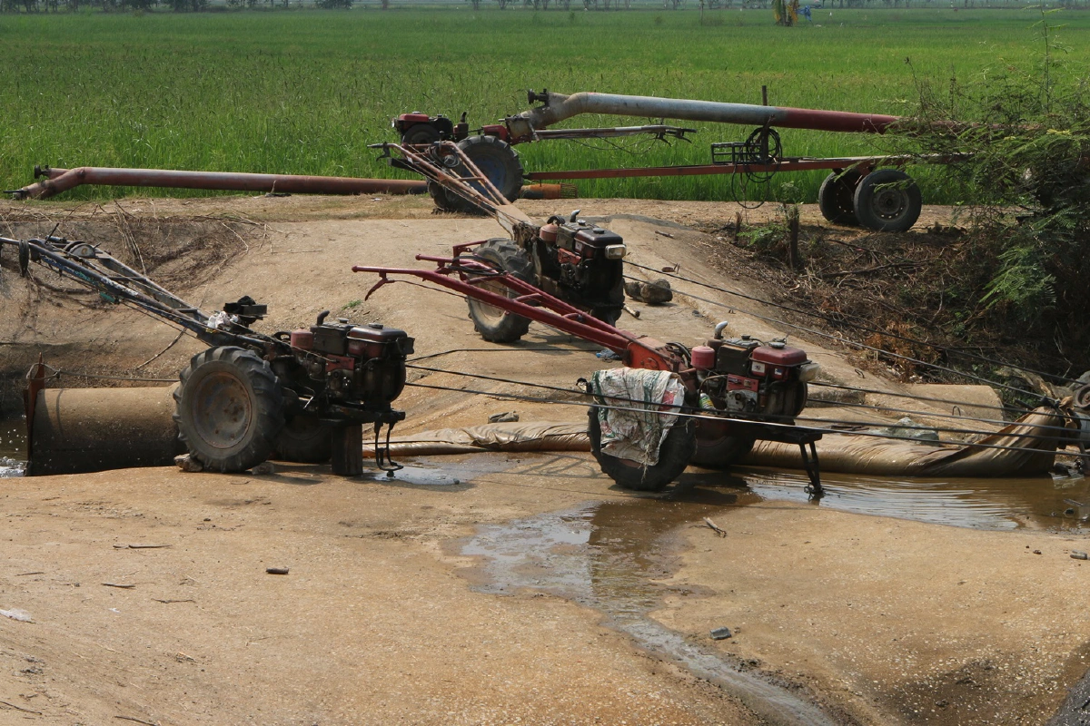 ชาวนาระดมเครื่องสูบผันน้ำจากบึงบอระเพ็ดเลี้ยงต้นข้าว