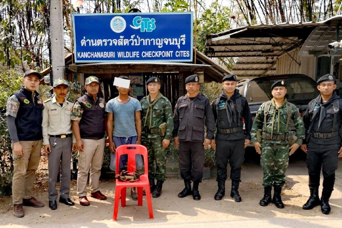 ด่านตรวจสัตว์ป่ากาญจน์จับหม่องพร้อมซากลิงลม