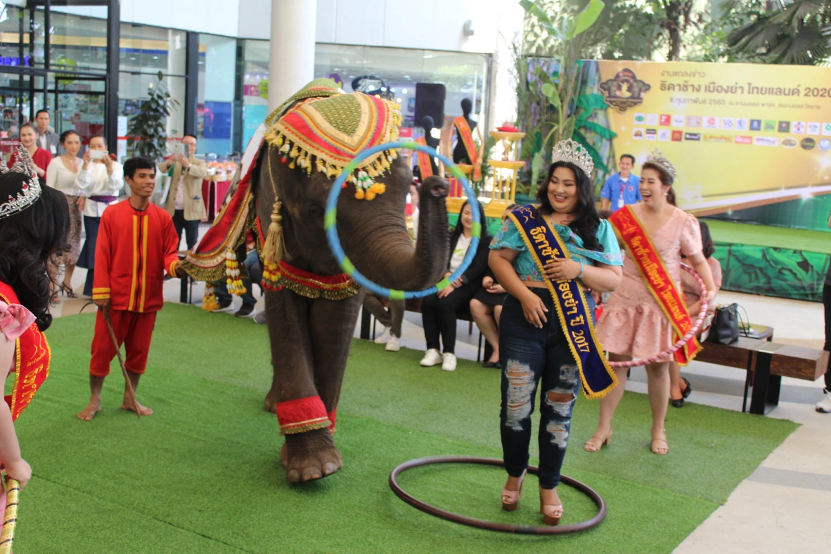 ฮือฮา!เวทีประกวดธิดาช้าง2020 สาวไซส์บิ๊กโชว์เต้นฮูล่าฮูปกับพังอรทัย