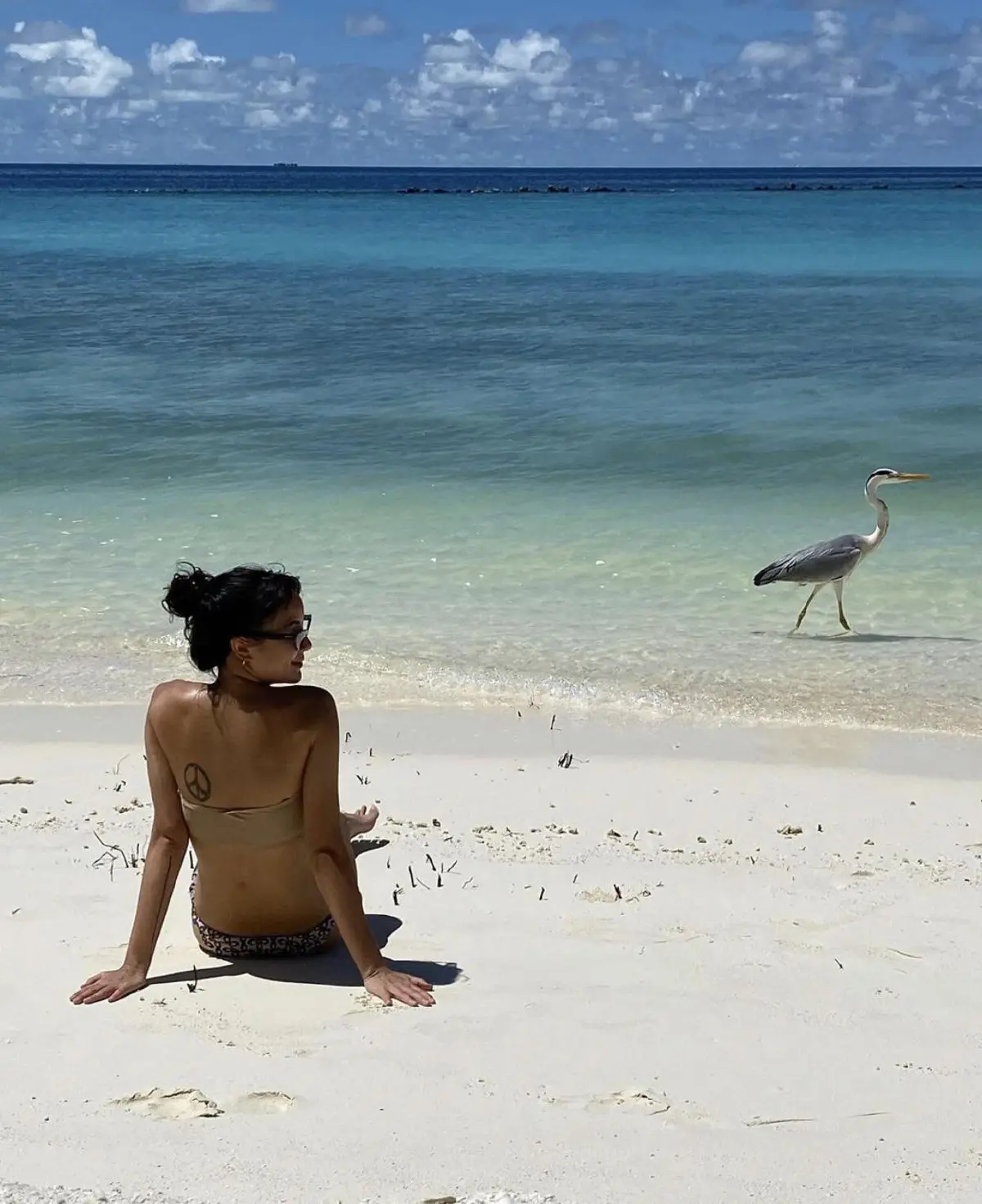 นท เดอะสตาร์ สวมชุดว่ายน้ำ! เริงร่าใต้ท้องทะเลกับฝูงปลาฉลาม 