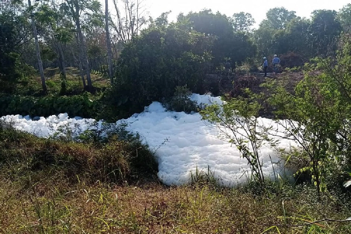 บ่อบำบัดน้ำเสียโรงงานแปรรูปยางพารารั่วแตกฟองเหมือนปาร์ตี้โฟม