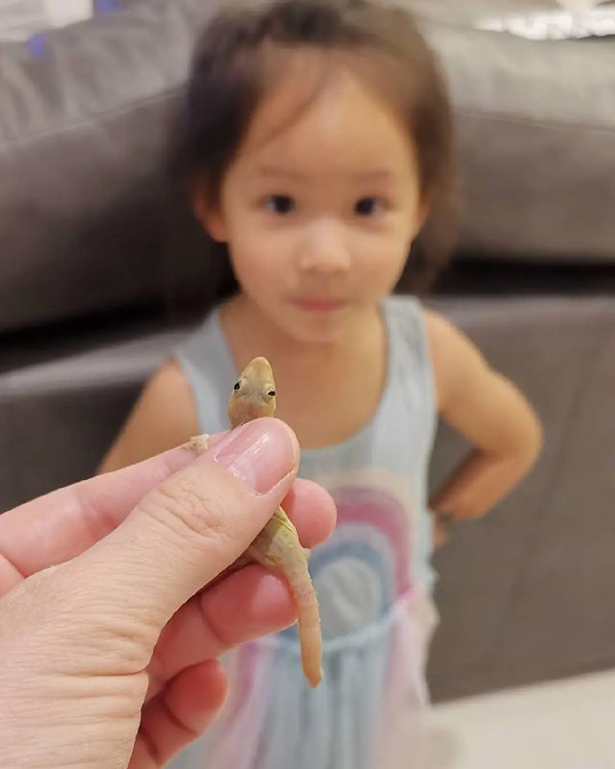 ส่องชีวิตแม่ลูกสอง แอน อลิชา เลี้ยงลูกพร้อมกับเป็นมือจับจิ้งจกประจำบ้าน