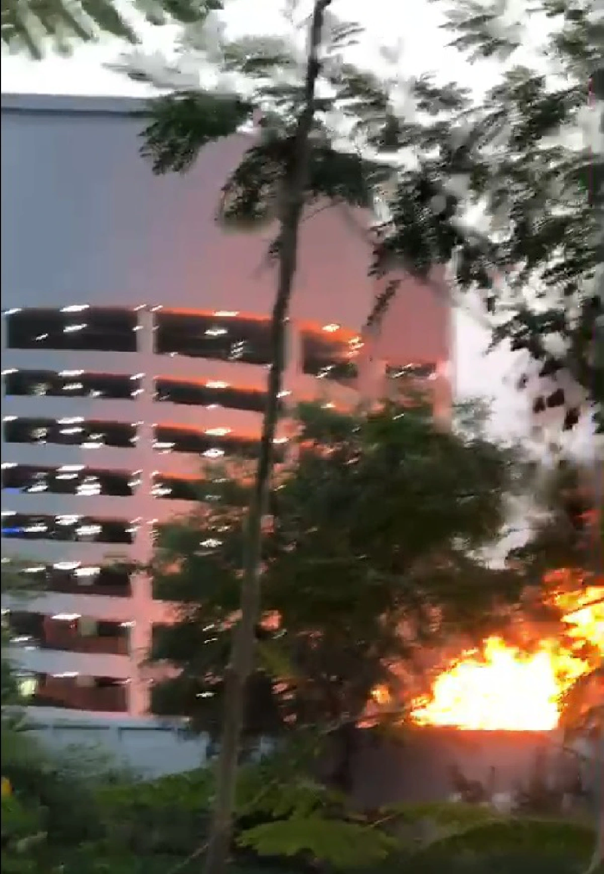 ประมวลภาพทหารคลั่ง! ยิงคนกลางเมืองโคราช ยอดเจ็บตายอื้อ