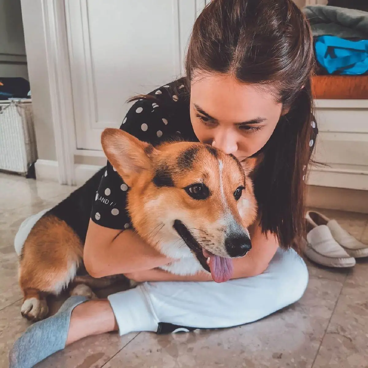 มิน พีชญา โกรธตัวสั่น! แม่บ้านและสุนัขเลี้ยงถูกสุนัขปริศนากัดจนเลือดออก