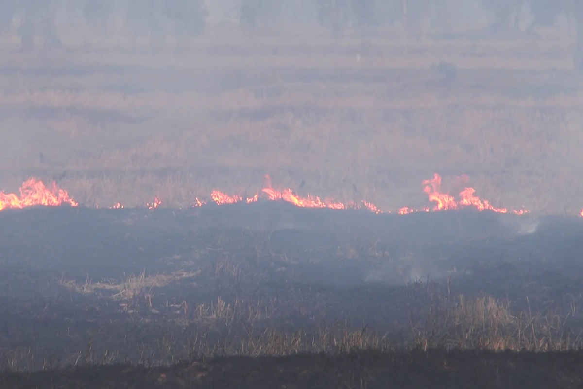 บุรีรัมย์ค่าฝุ่นPM2.5เกินมาตรฐาน 8อำเภอ เริ่มกระทบสุขภาพประชาชน