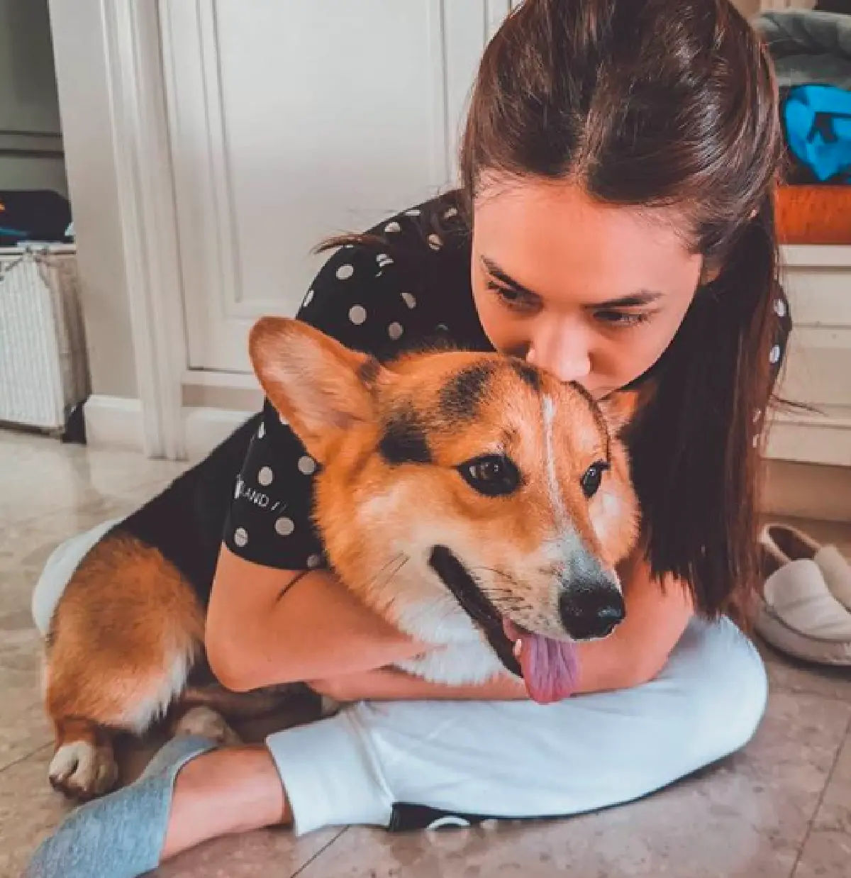 "มิน พีชญา" อัพเดทอาการพี่เลี้ยงและสุนัขที่บ้าน หลังถูกสุนัขปริศนากัด