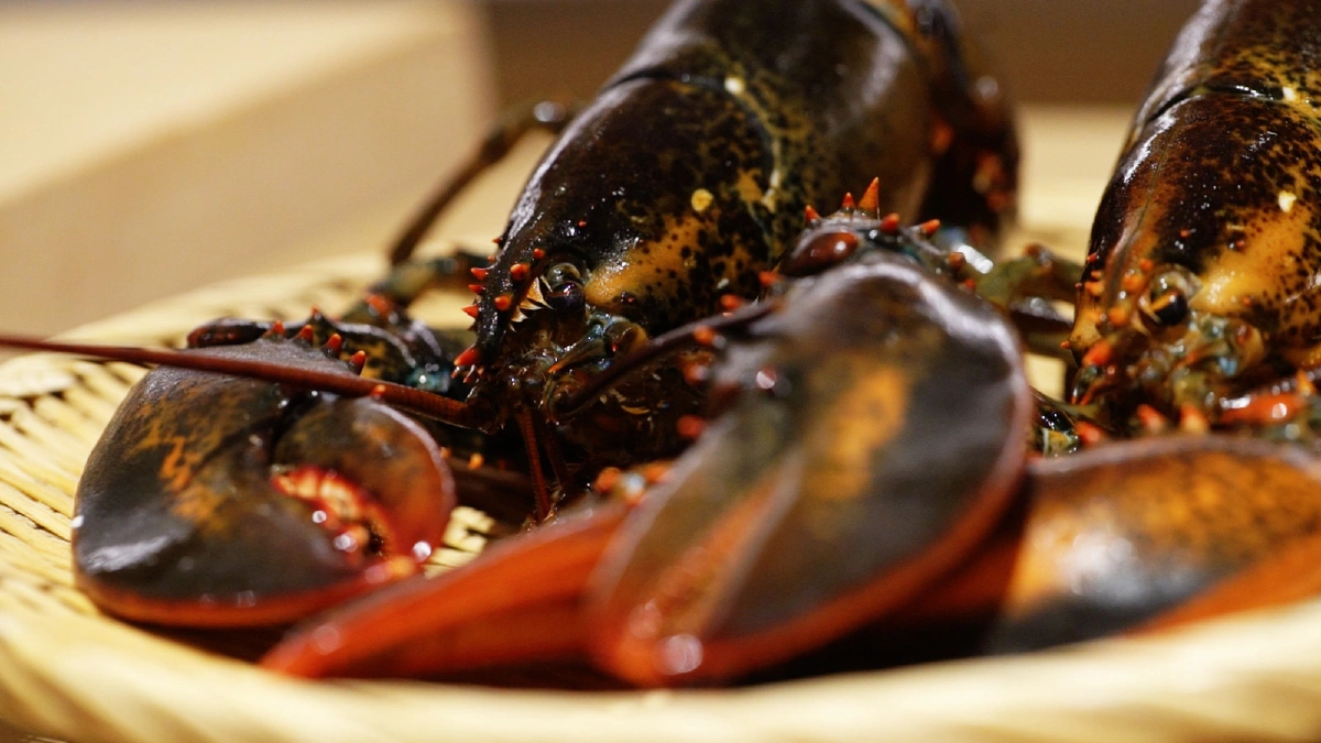 Mono Sei ฟิวชั่นเมนูชูความเป็นญี่ปุ่นสไตล์โอมากาเสะสุดพรีเมี่ยม