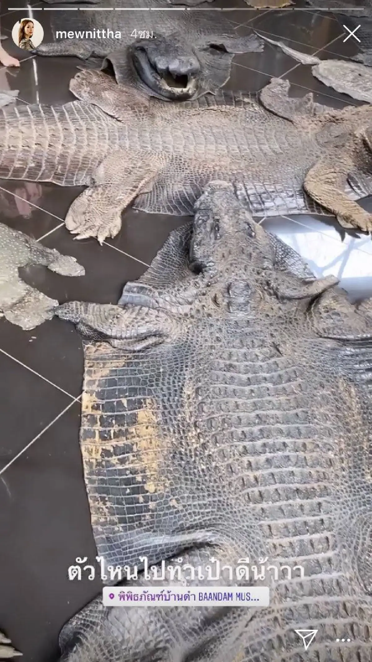 “มิว นิษฐา” โพสต์ขอโทษ หลังโดนถล่มลงภาพซากจระเข้ พร้อแคปชั่น "ตัวไหนไปทำเป๋าดี”