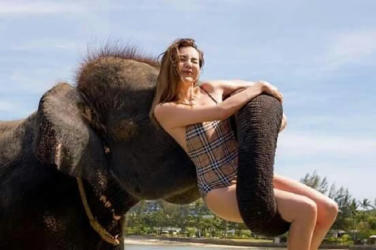 "ดิว อริสรา" นุ่งวันพีซเล่นน้ำกับช้างสดใสน่ารักปนเซ็กซี่เบาๆ 