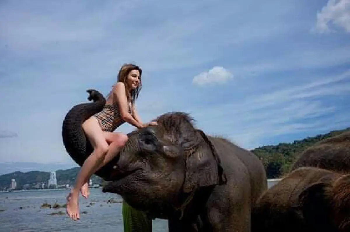 "ดิว อริสรา" นุ่งวันพีซเล่นน้ำกับช้างสดใสน่ารักปนเซ็กซี่เบาๆ 