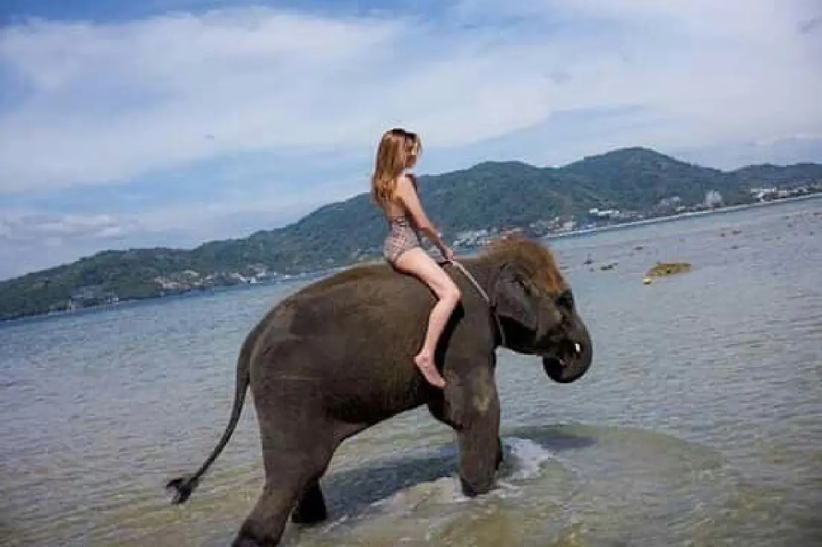 "ดิว อริสรา" นุ่งวันพีซเล่นน้ำกับช้างสดใสน่ารักปนเซ็กซี่เบาๆ 