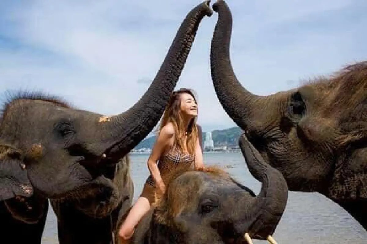 "ดิว อริสรา" นุ่งวันพีซเล่นน้ำกับช้างสดใสน่ารักปนเซ็กซี่เบาๆ 