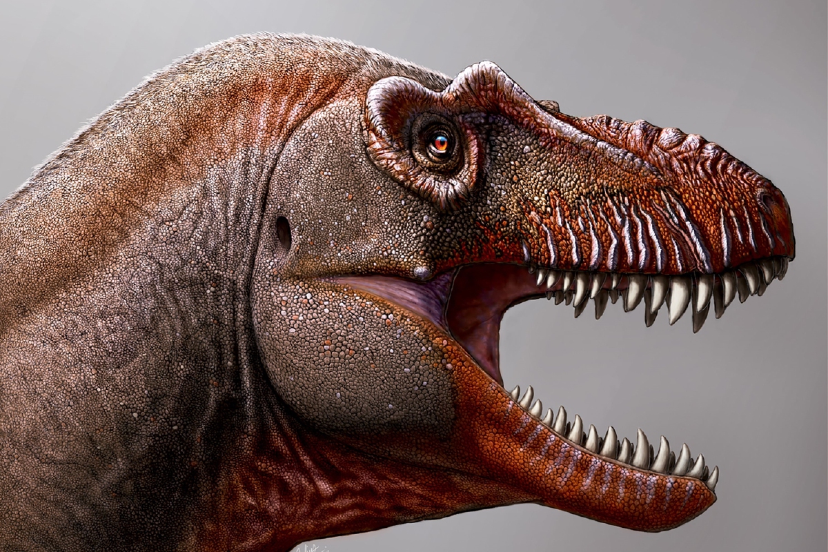 "ธานาทอส" ไดโนเสาร์ญาติของ T-Rex ฉายานักล่าความตาย "ธานาทอส" ไดโนเสาร์ญาติของ T-Rex ฉายานักล่าความตาย
