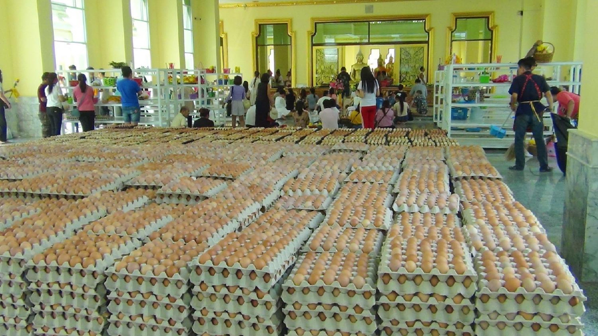 คนจีนขนไข่ไก่ 2 แสนขอหลวงพ่อโสธรปัดเป่าไวรัส Covid-19 พ้นแผ่นดินใหญ่ คนจีนขนไข่ไก่ 2 แสนขอหลวงพ่อโสธรปัดเป่าไวรัส Covid-19 พ้นแผ่นดินใหญ่