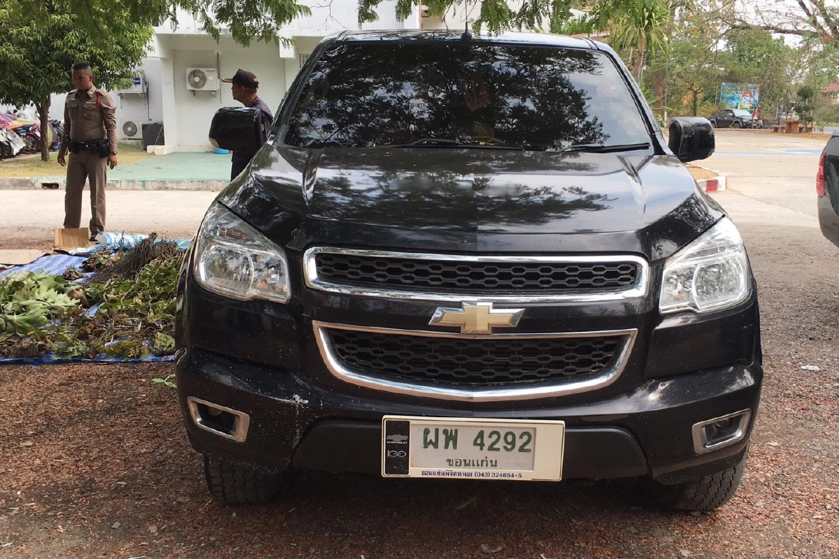 จับคาด่านตรวจ! ผัวเมียลอบขนกล้วยไม้ป่ามูลค่ากว่าล้านบาทเข้ากรุง