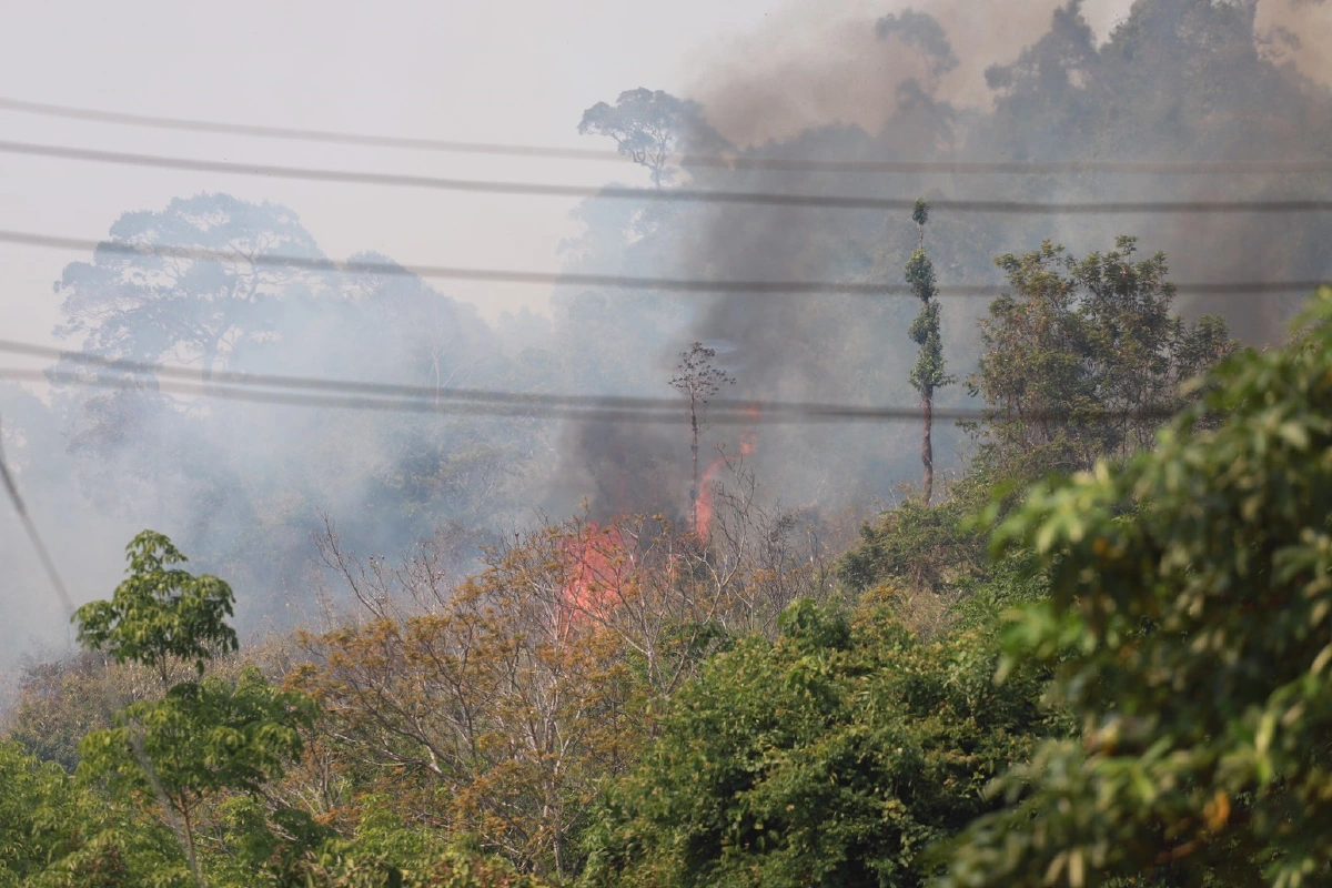 ไฟป่าชายแดนกัมพูชาลุกไหม้ลามฝั่งไทย4ตำบลตราด สวนผลไม้ ต้นยางพาราเสียหาย