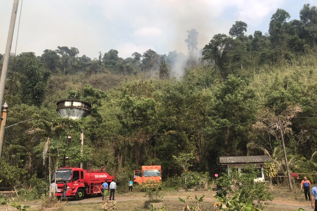 ไฟป่าชายแดนกัมพูชาลุกไหม้ลามฝั่งไทย4ตำบลตราด สวนผลไม้ ต้นยางพาราเสียหาย