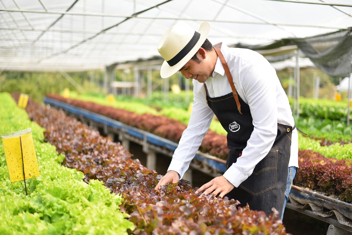 “สลัดแฟคทอรี่” ชวนตามรอย “เปิดเส้นทางจากฟาร์ม...สู่จานอร่อย”