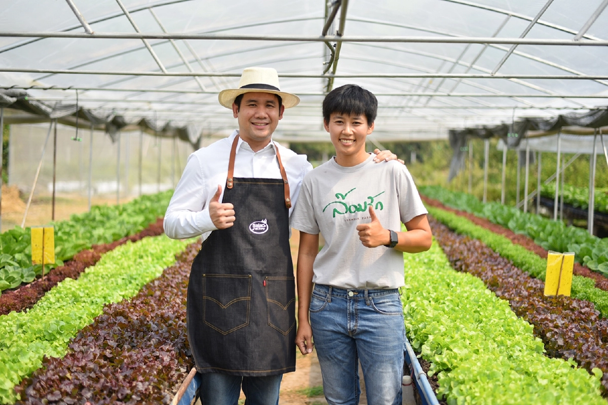 “สลัดแฟคทอรี่” ชวนตามรอย “เปิดเส้นทางจากฟาร์ม...สู่จานอร่อย”