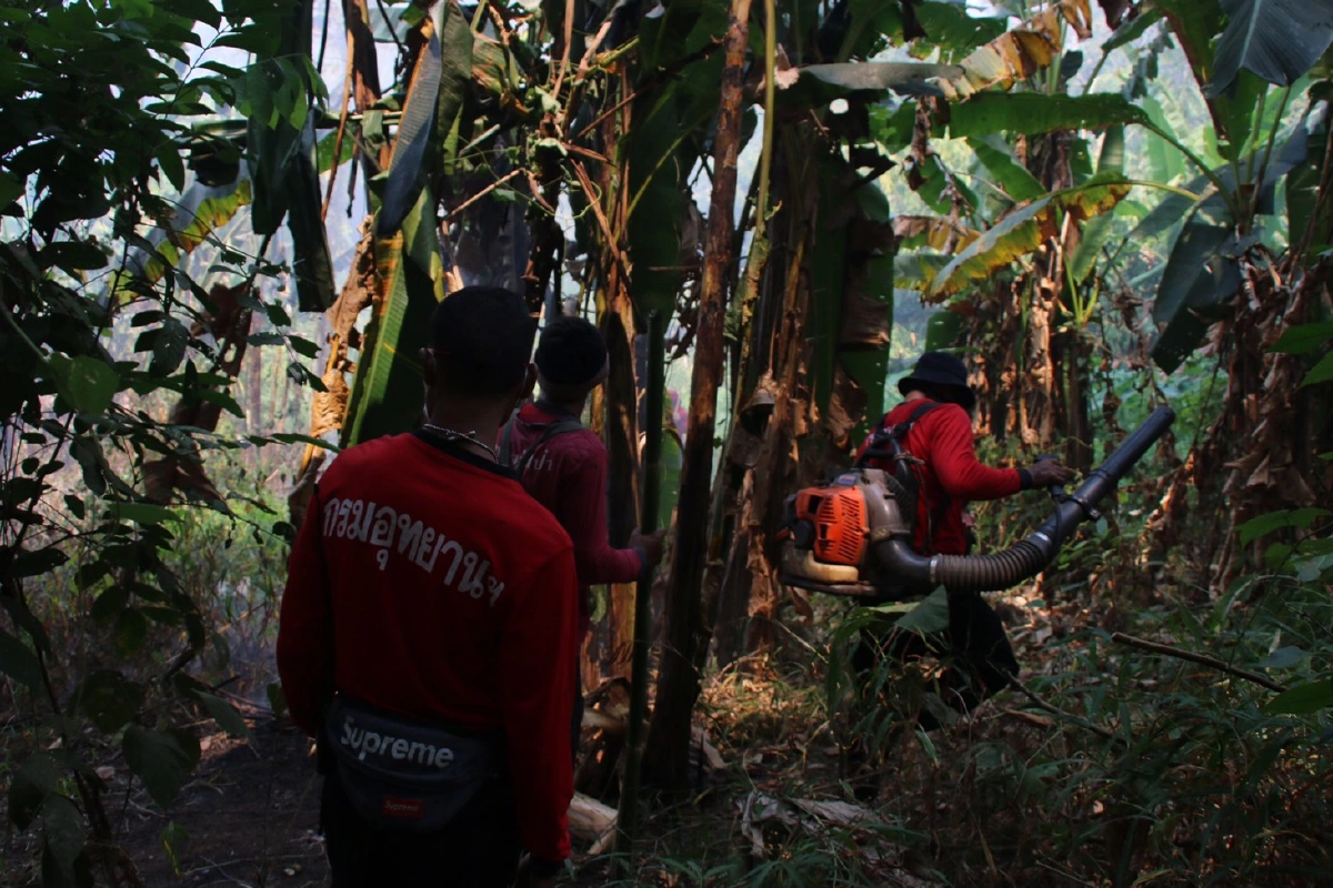 ไฟป่าไหม้อุทยานแห่งชาติเขาแหลม เจ้าหน้าที่เร่งดับทั้งวันทั้งคืน