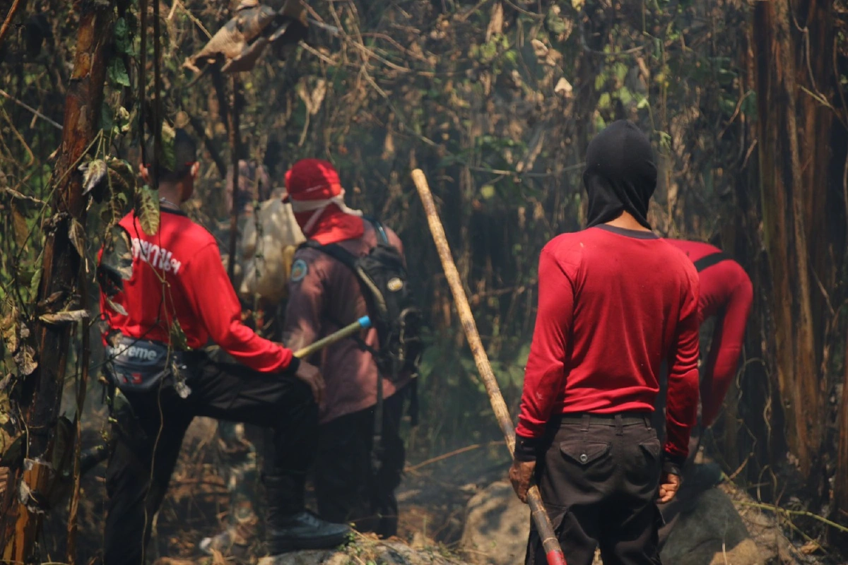 ไฟป่าไหม้อุทยานแห่งชาติเขาแหลม เจ้าหน้าที่เร่งดับทั้งวันทั้งคืน