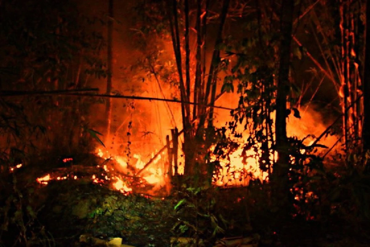 ไฟป่าไหม้อุทยานแห่งชาติเขาแหลม เจ้าหน้าที่เร่งดับทั้งวันทั้งคืน