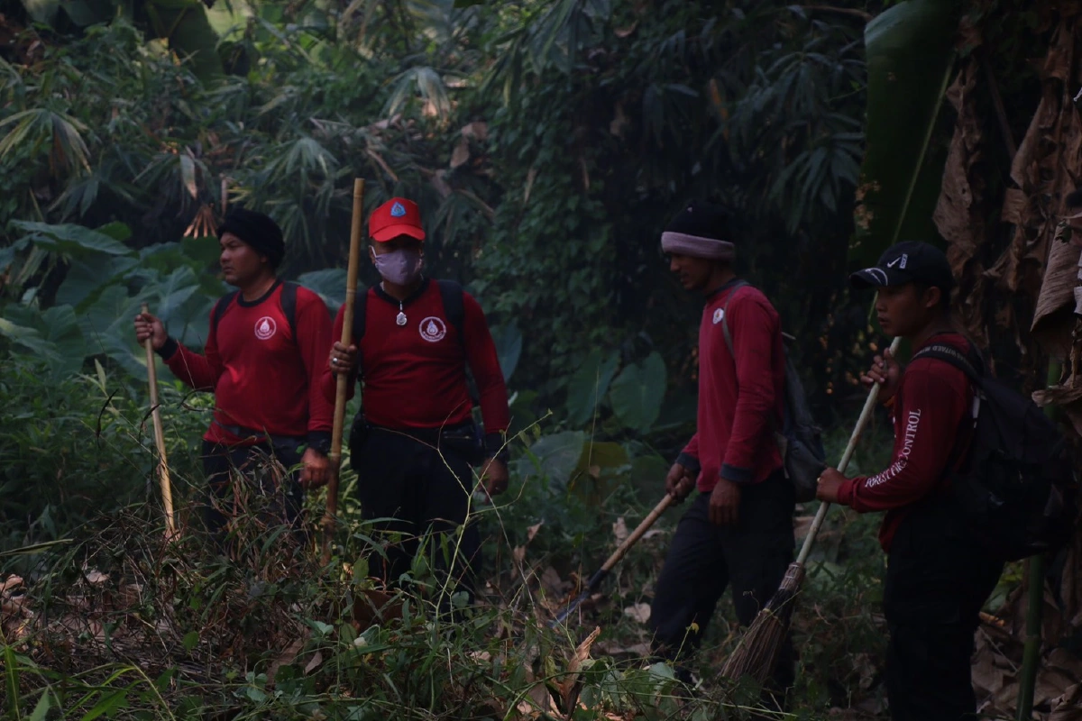 ไฟป่าไหม้อุทยานแห่งชาติเขาแหลม เจ้าหน้าที่เร่งดับทั้งวันทั้งคืน