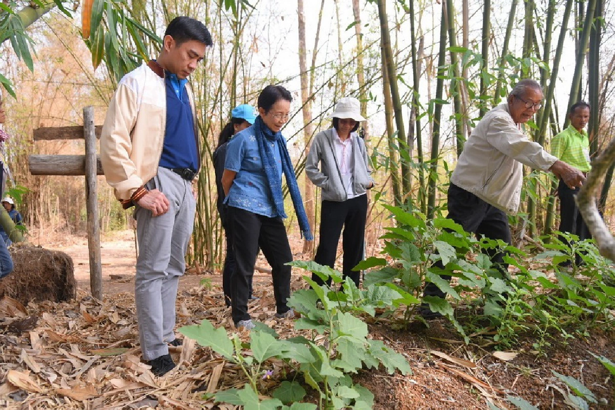 “เนื้อเน่า” ภัยร้ายจากพิษสารเคมี จุดเปลี่ยนเกษตรกรสู่วิถีอินทรีย์