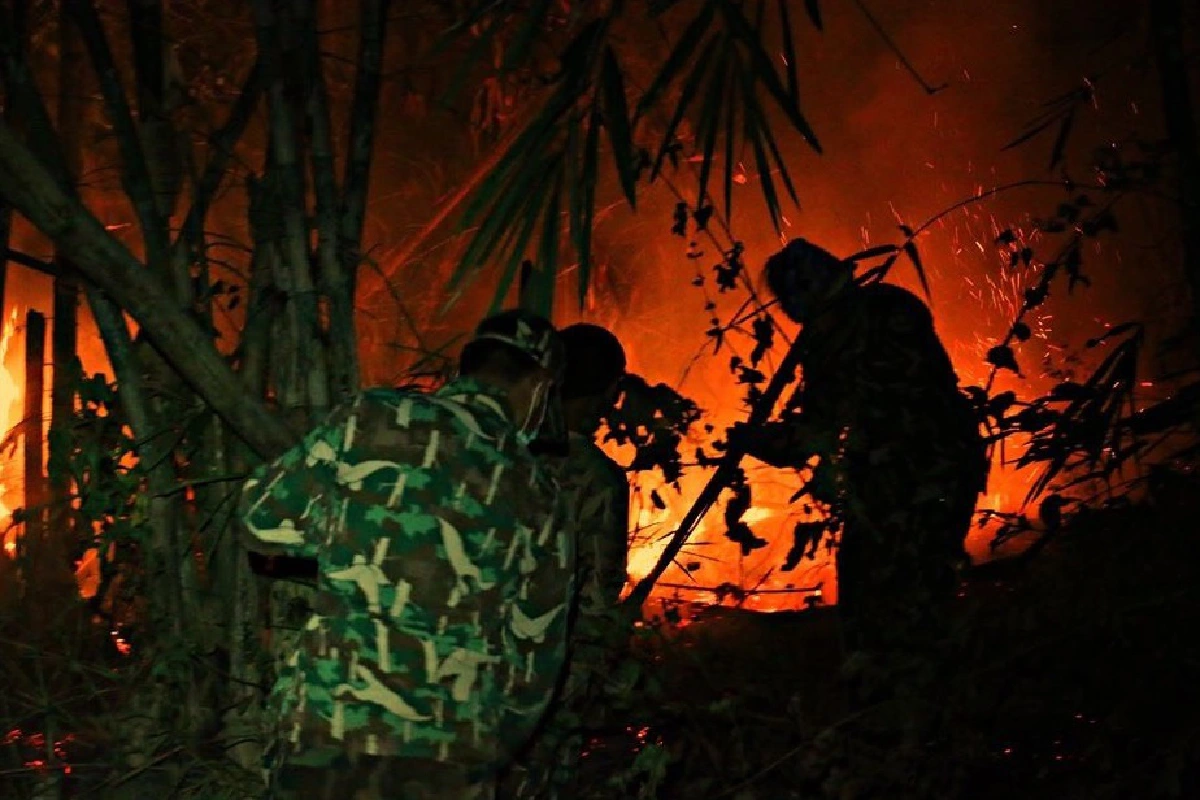 ไฟป่าไหม้อุทยานแห่งชาติเขาแหลม เจ้าหน้าที่เร่งดับทั้งวันทั้งคืน