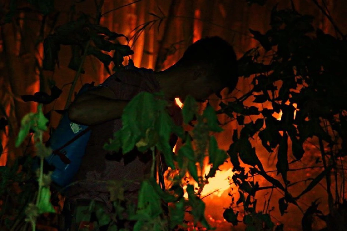 ไฟป่าไหม้อุทยานแห่งชาติเขาแหลม เจ้าหน้าที่เร่งดับทั้งวันทั้งคืน