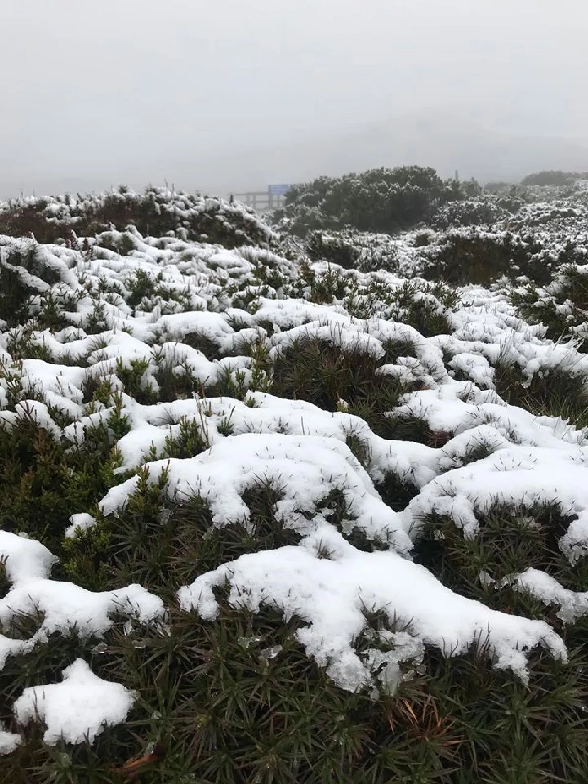 อากาศแปรปรวนเกินไปแล้ว! ออสเตรเลียเจอหิมะตกหน้าร้อน