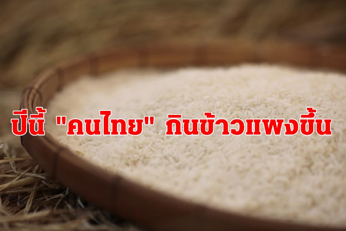 ตลาดข้าวถุงบริโภคในประเทศ ปี 2563 คาดปรับราคาเพิ่มขึ้น 2.4% ตลาดข้าวถุงบริโภคในประเทศ ปี 2563 คาดปรับราคาเพิ่มขึ้น 2.4%