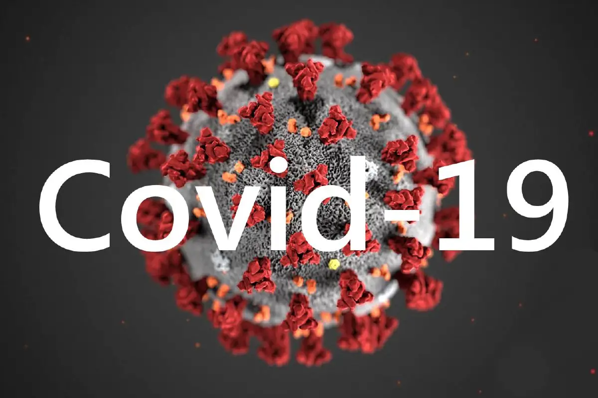 Q&A  ไวรัสโคโรนา 2019 (COVID-19)