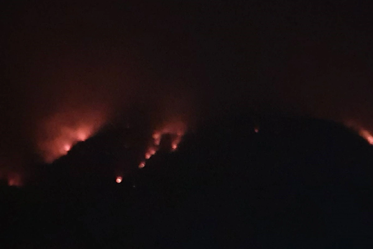 ในหลวงโปรดเกล้าฯตั้งโรงครัวพระราชทานเลี้ยงเจ้าหน้าที่ดับไฟป่าเขาใหญ่