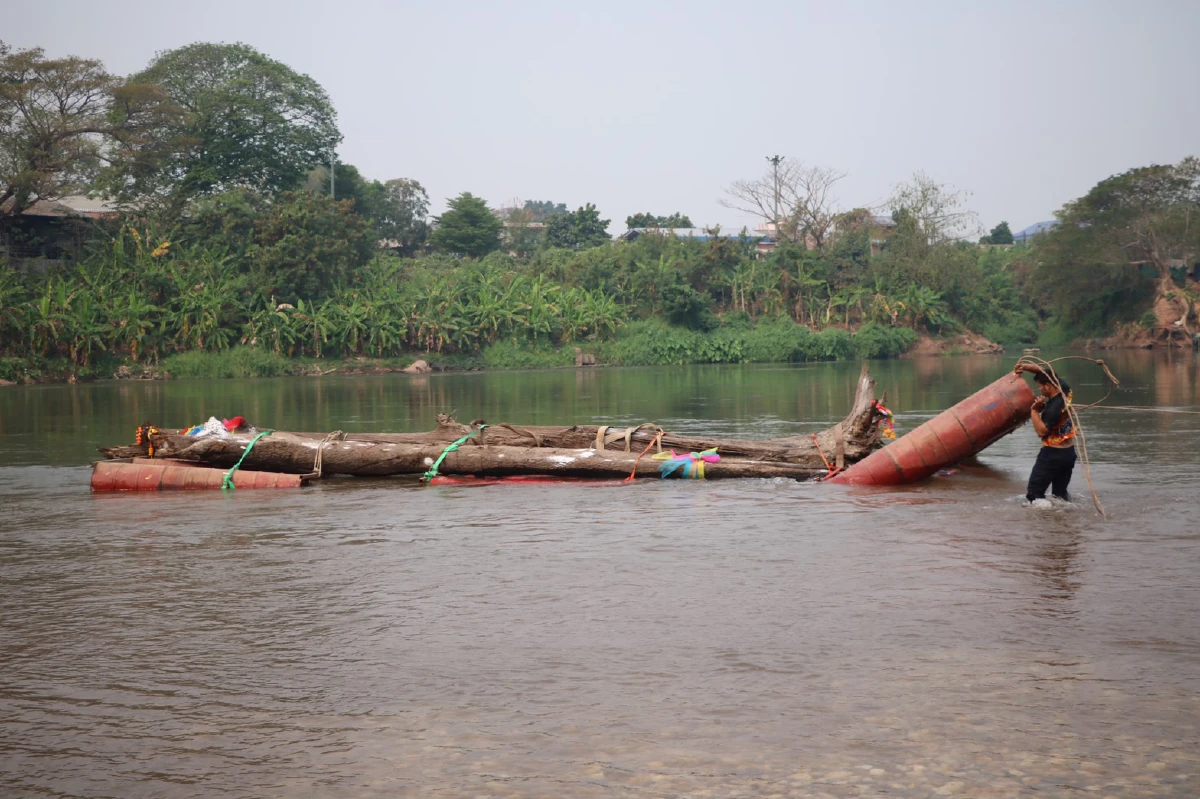 นักแสวงโชคหวังรวยแห่ขอเลขเด็จจากต้นตะเคียนถูกฝังกลางแม่น้ำน่าน