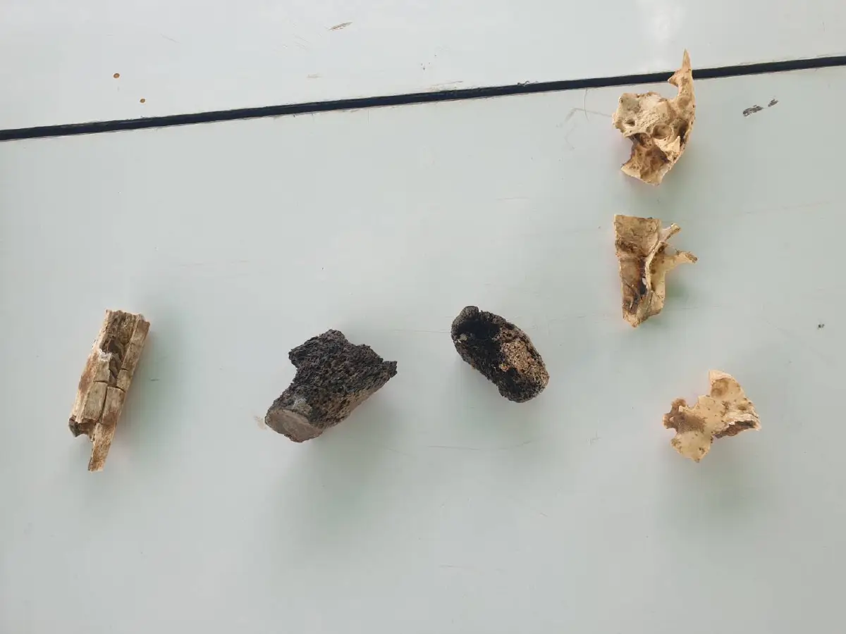 ชัดแล้ว! ผลดีเอ็นเอกระโหลกศีรษะถูกเผาเป็นของพี่ชายผู้พิพากษาที่ถูกอุ้ม