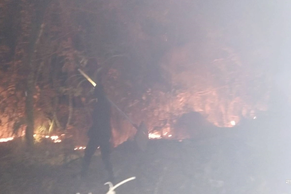 ชาวบ้านร่วมเจ้าหน้าที่อุทยานภูหินร่องกล้าช่วยดับไฟป่าทางขึ้นภูลมโล