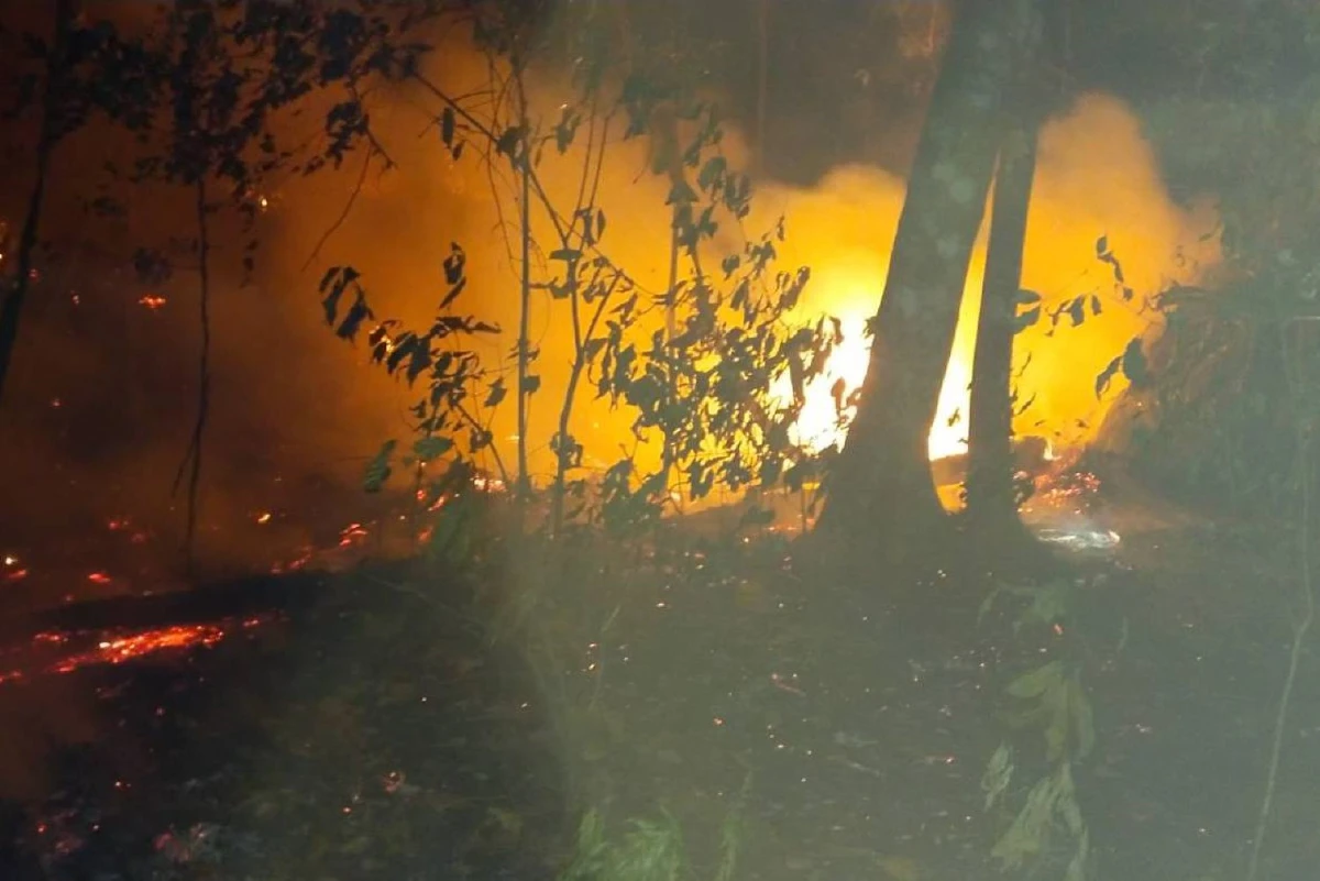 ชาวบ้านร่วมเจ้าหน้าที่อุทยานภูหินร่องกล้าช่วยดับไฟป่าทางขึ้นภูลมโล