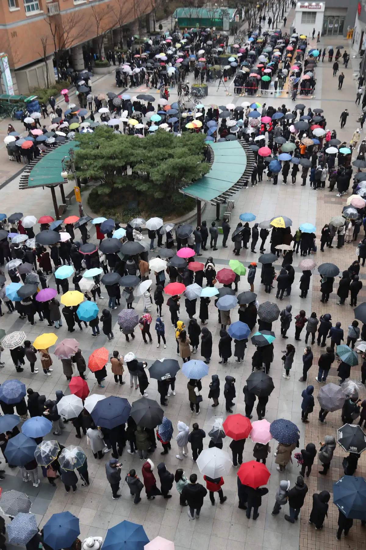 ชาวกรุงโซลต่อแถวยาวเหยียดรอคิวซื้อหน้ากากอนามัย