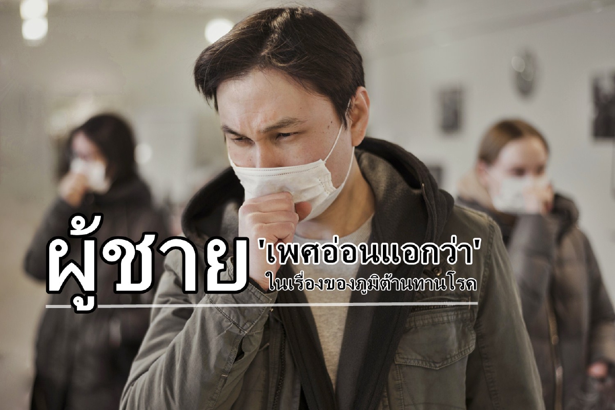 ผู้ชาย 'เพศอ่อนแอกว่า' ในเรื่องของภูมิต้านทานโรค ผู้ชาย 'เพศอ่อนแอกว่า' ในเรื่องของภูมิต้านทานโรค