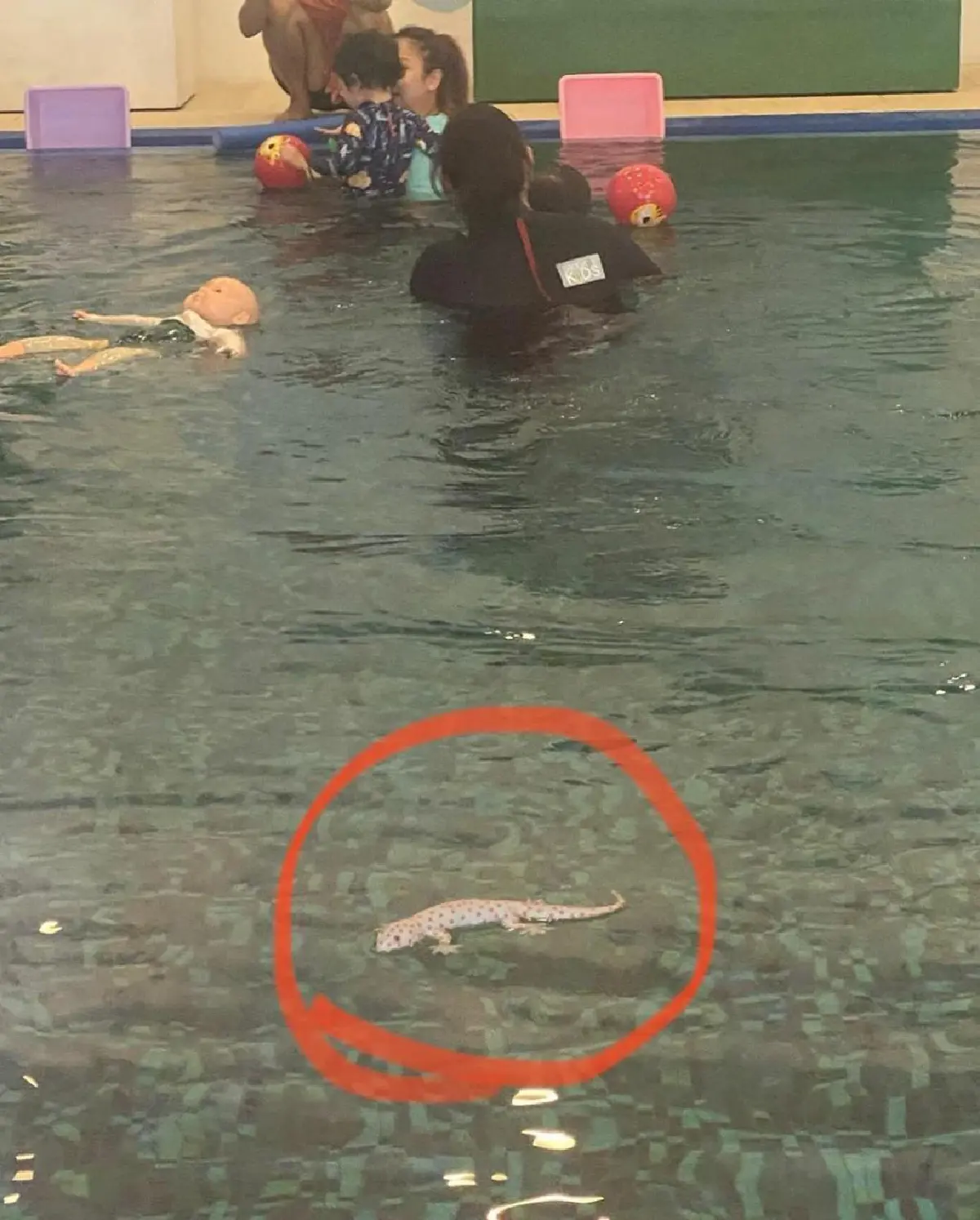 เอ็นดูหนักมาก! "น้องโพธิ์" ติดตุ๊กแกขนาดที่ว่าพกไปด้วยทุกที่