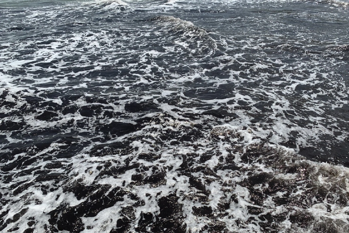 นครศรีฯตื่น!แก้คราบน้ำมันท่วมชายฝั่งทะเลหัวไทร