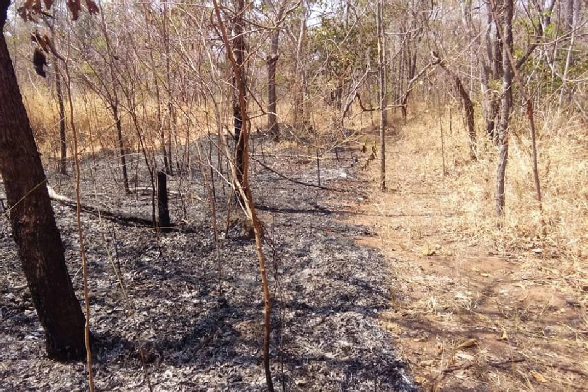 เจ้าหน้าที่กันแนวไฟป่าผาเก็บตะวันได้แล้วคาดอีก2วันดับสนิท