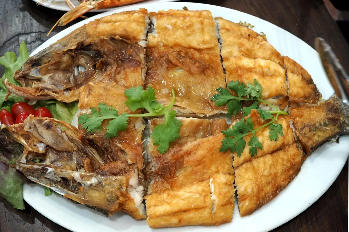 Camelot ชูเมนูรสชาติไทย ให้ตัวเลือกหลากหลายด้วยเมนูฟิวชั่นสไตล์โฮมเมด