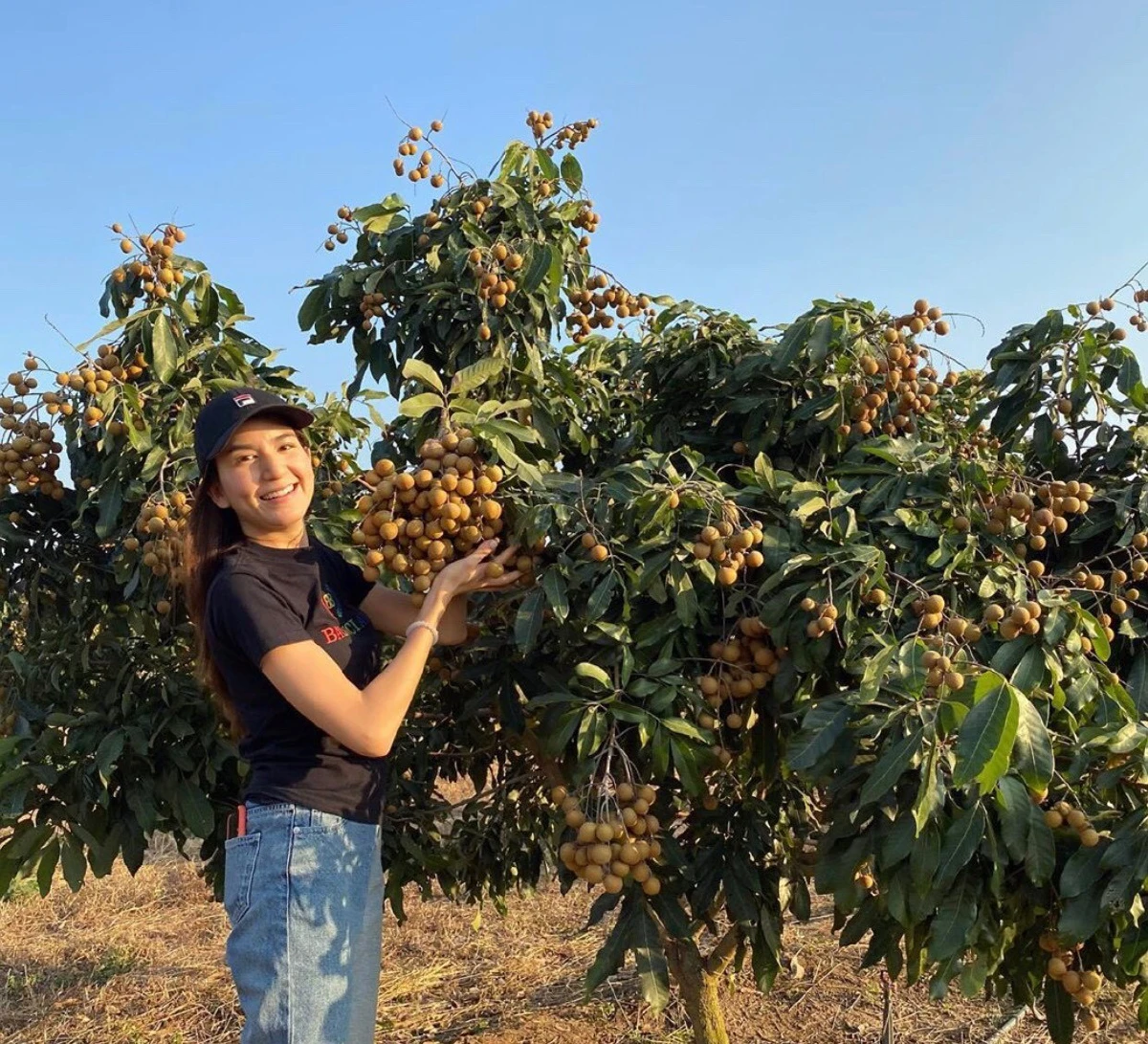 พลอย ชิดจันทร์ หายเหนื่อย! พาลูกๆเก็บผลลำไยปีแรกหลังทุ่มเทมากว่า 5 ปี