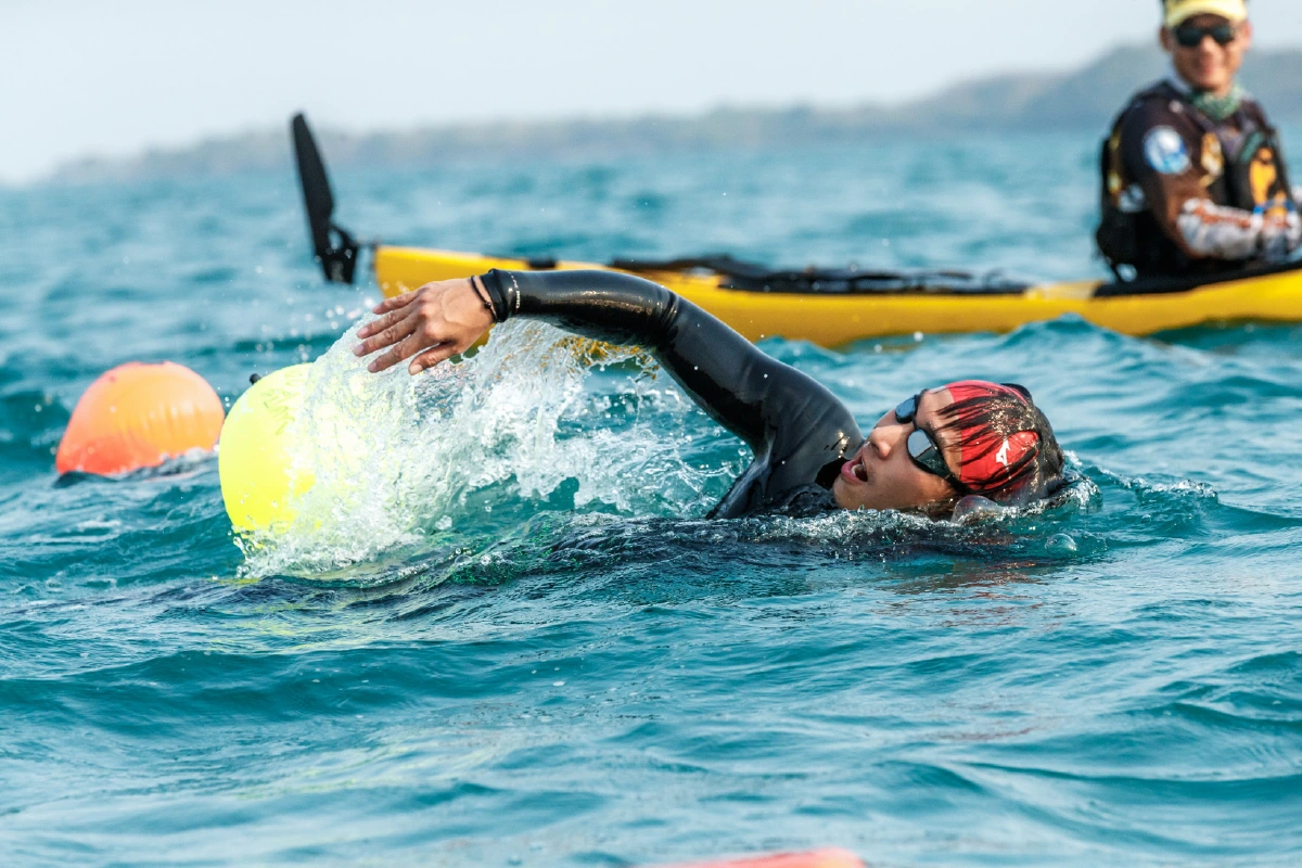 ย้อนรอย ปัญหาของท้องทะเลที่ส่งผลต่อสัตว์ทะเล