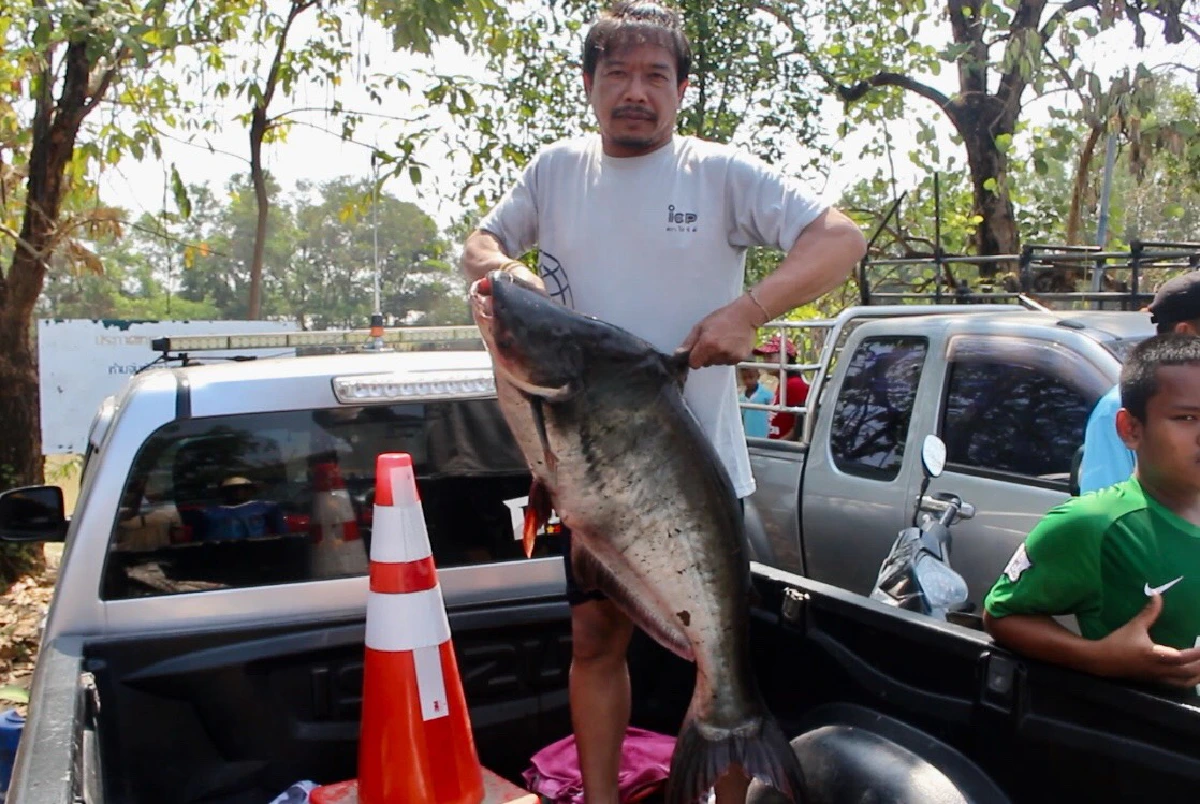 ชาวบ้านเมืองช้างแห่ซื้อตั๋วจับปลาในสระน้ำหมู่บ้านกุศโลบายหาเงินเข้าชุมชน