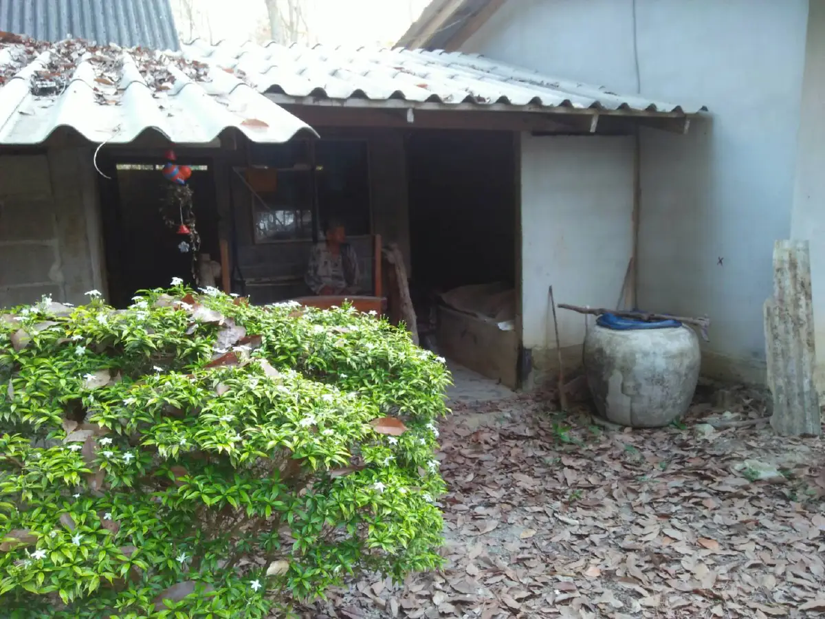 ปิดตำนาน“เสือเหลี้ยม ทุ่งโพธิ์” มือปืนพระกาฬเป็นลมตายวิจารณ์แซด"ตายไม่สมศักดิ์ศรีเสือร้าย"