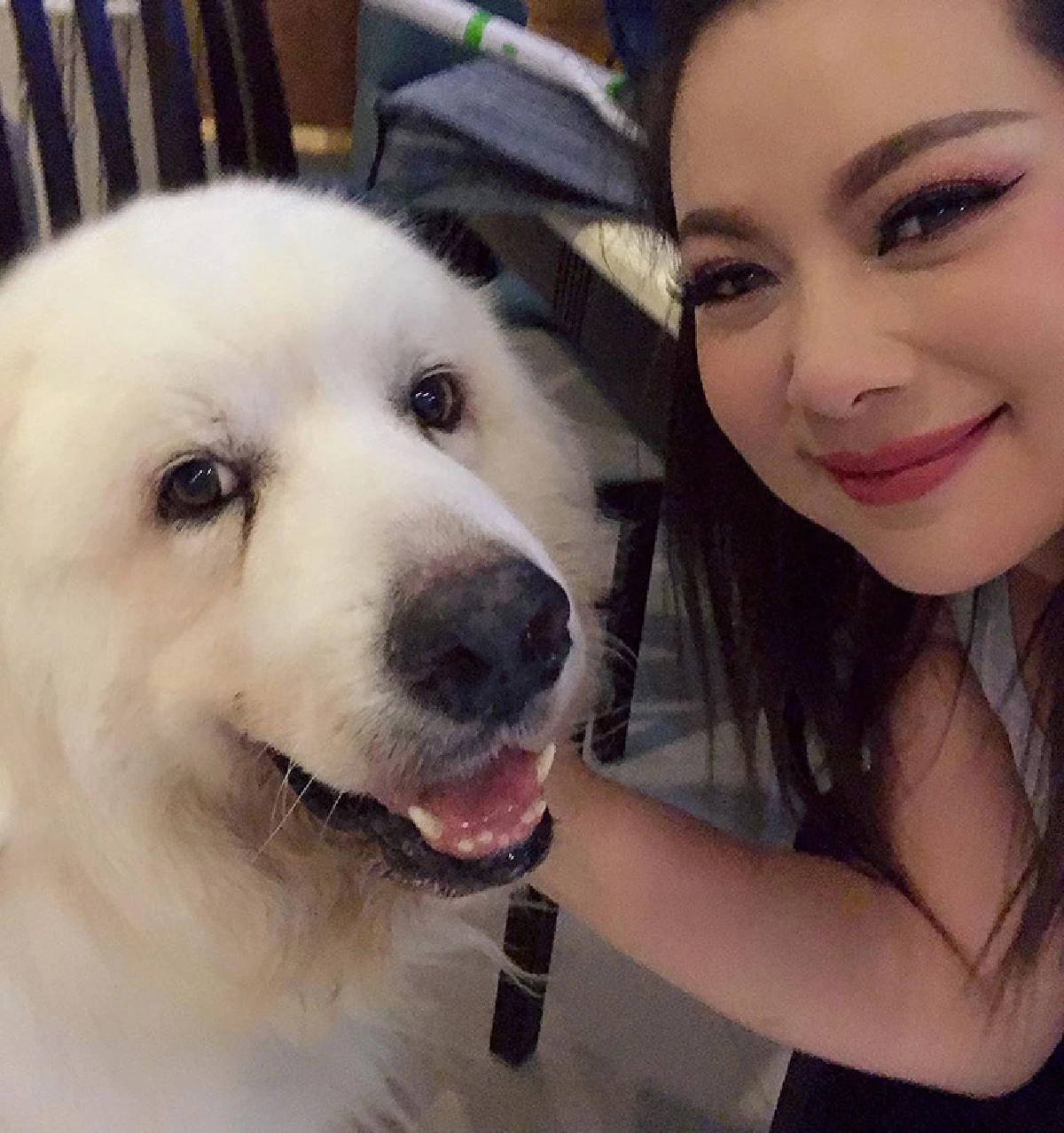 บุ๋ม ปนัดดา ควักเงินเฉียด 8 หมื่นรักษาอาการป่วย ลุงเค็ม สุนัขแสนรัก